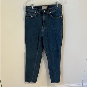 Everlane The Original Cheeky Jean High Rise Blue Jeans Organic Cotton